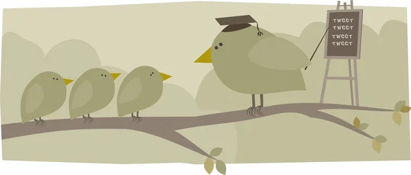 Escuela de aves — Archivo Imágenes Vectoriales