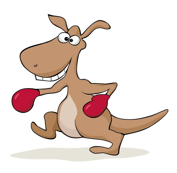 Boxing Kangaroo — Stock Vector