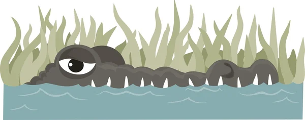 Crocodile in reeds — Stock Vector