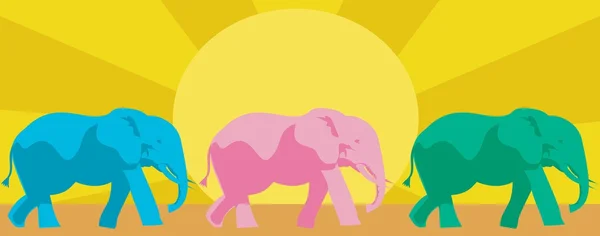 Többszínű elefántok — Stock Vector