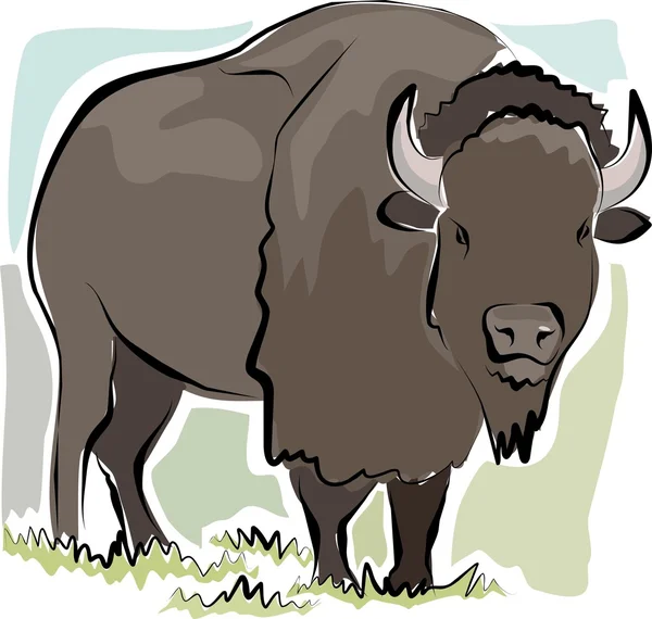 Sketchy bison — Stock Vector