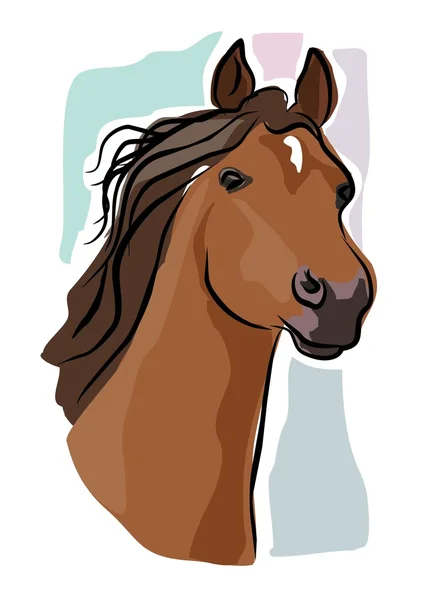 Sketchy Tête de cheval — Image vectorielle