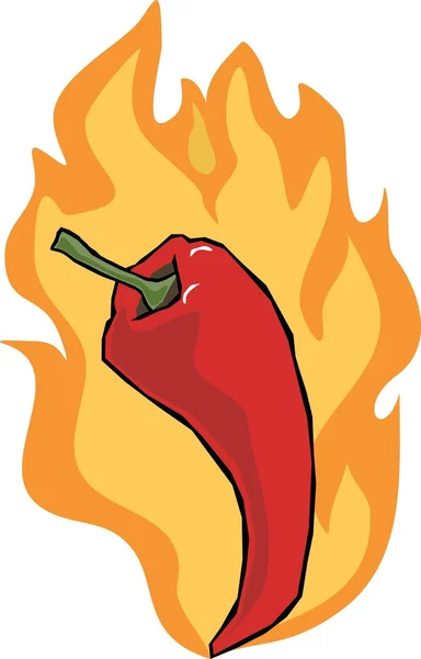 Red hot chili pepper — Stock Vector