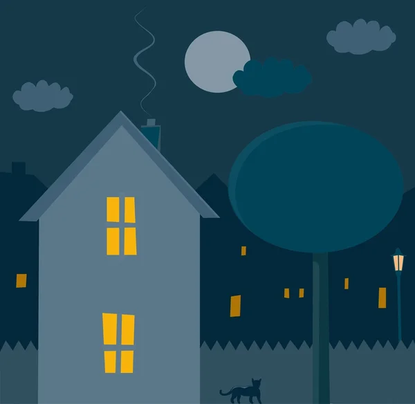 House in blue moonlight — Stock Vector