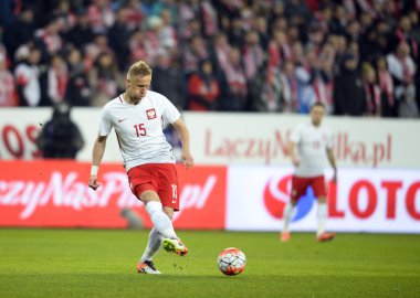 Dostu futbol oyun Polonya - Sırbistan
