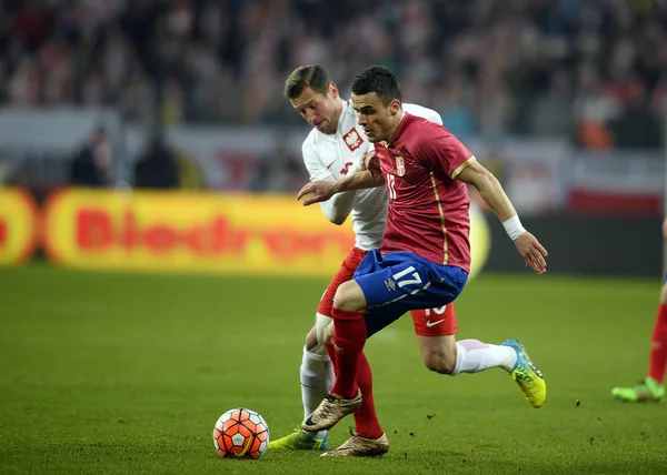 Dostu futbol oyun Polonya - Sırbistan