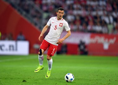 Dostu oyun Polonya - Hollanda