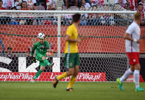 Friendly Game Poland - Lithuania — Stock Photo, Image