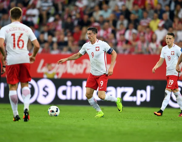 Dostu oyun Polonya - Hollanda