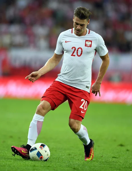 Dostu oyun Polonya - Hollanda