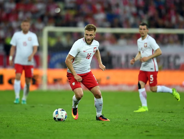 Dostu oyun Polonya - Hollanda