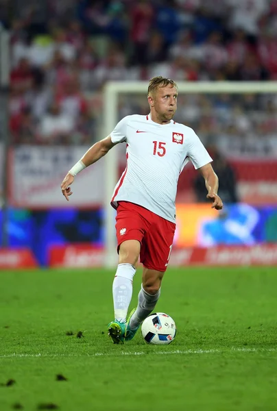 Dostu oyun Polonya - Hollanda