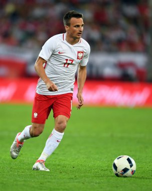 Dostu oyun Polonya - Hollanda