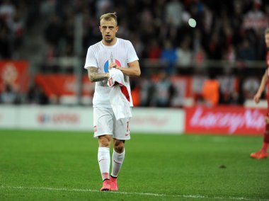 dostluk maçı Polonya - Çek Cumhuriyeti