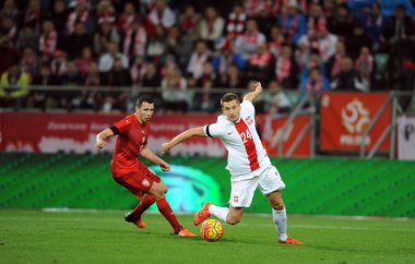 dostluk maçı Polonya - Çek Cumhuriyeti