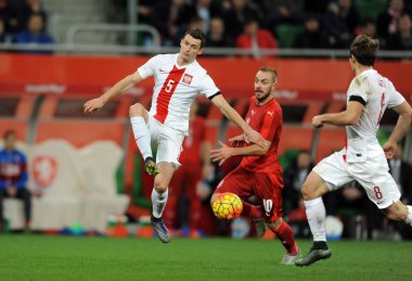 dostluk maçı Polonya - Çek Cumhuriyeti