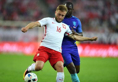 Dostu oyun Polonya - Hollanda