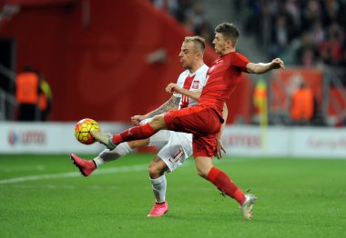 dostluk maçı Polonya - Çek Cumhuriyeti