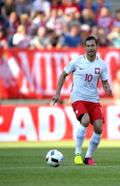 Dostu oyun Polonya - Litvanya