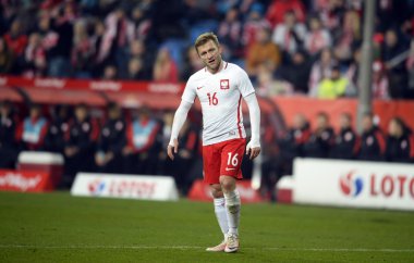 Dostu futbol oyun Polonya - Sırbistan