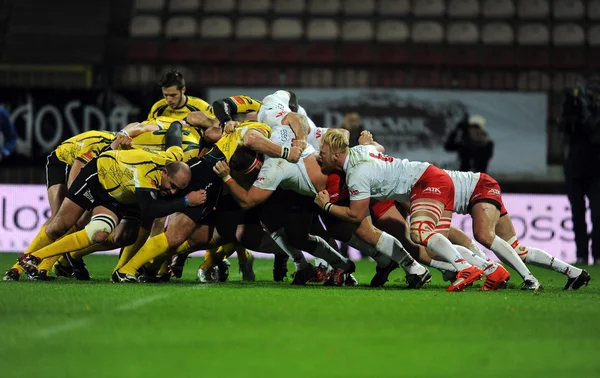 Polonya - Moldova Avrupa Ragbi Kupası