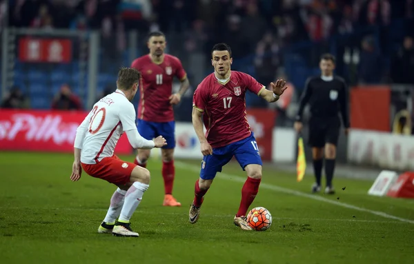 Amistoso partido de fútbol Polonia - Serbia — Foto de Stock