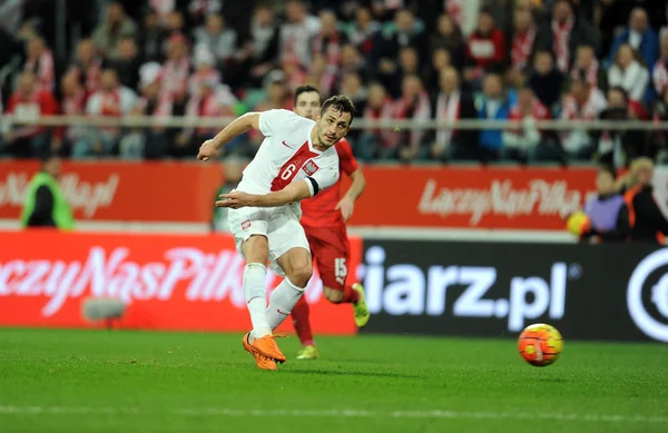 dostluk maçı Polonya - Çek Cumhuriyeti