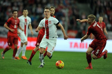 dostluk maçı Polonya - Çek Cumhuriyeti