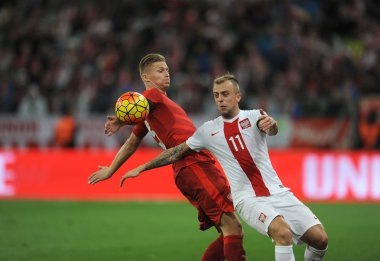 dostluk maçı Polonya - Çek Cumhuriyeti