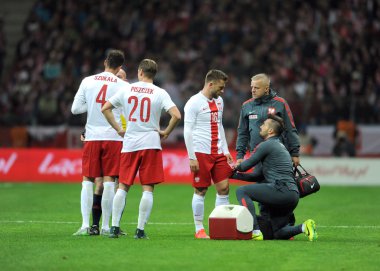 dostluk maçı Polonya - İzlanda