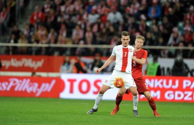 dostluk maçı Polonya - Çek Cumhuriyeti