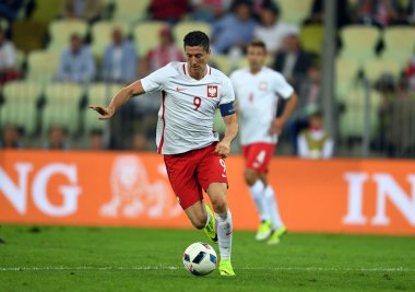 Dostu oyun Polonya - Hollanda