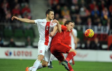 dostluk maçı Polonya - Çek Cumhuriyeti