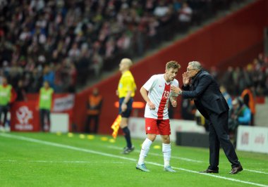 dostluk maçı Polonya - İzlanda