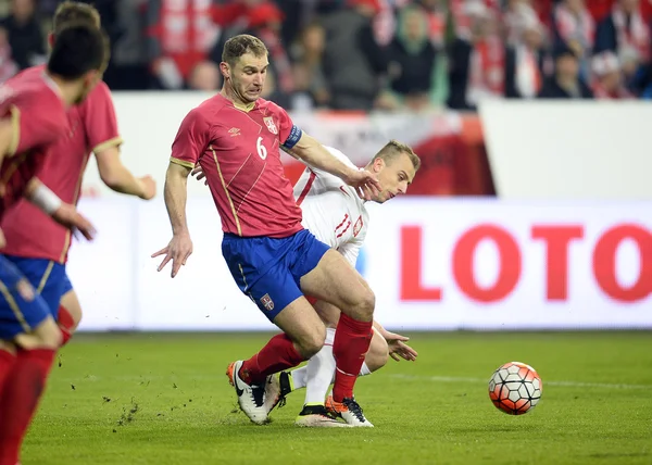 Amistoso partido de fútbol Polonia - Serbia — Foto de Stock