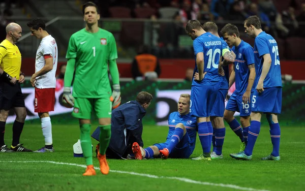 dostluk maçı Polonya - İzlanda