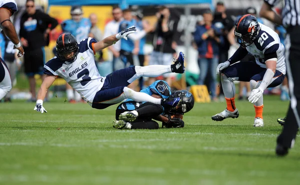 Warsaw Eagles and Wroclaw Panthers