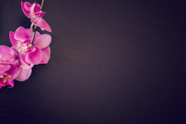 Ahşap bir masaya orkide çiçek