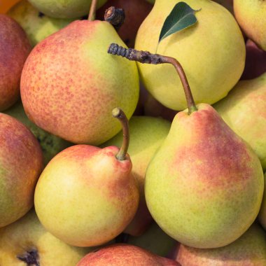 Olgun sulu armut yakın çekim 