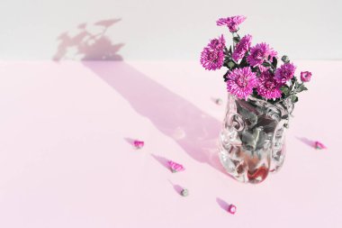 Pastel arka plandaki vazoda bulunan kasımpatı çiçeklerinden oluşan yaratıcı bir kompozisyon. Güzel çiçek arkaplanı. Doğa kutsaması. Mevsimlik kartlar ve web tasarımı için fikir