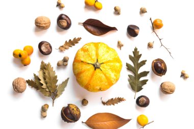 Beyaz arka planda balkabaklarından, kuru yapraklardan, kestanelerden ve meşe palamutlarından oluşan güz yaratıcı kompozisyonu. Sonbahar, sonbahar, Cadılar Bayramı konsepti. Düz yatış, üst görünüm.