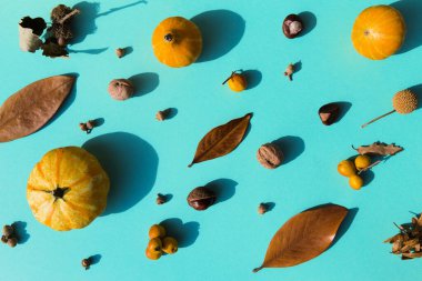 Renkli arka planda balkabağı, fındık ve meşe palamudundan yapılmış sonbahar yaratıcı kompozisyonu. Sonbahar, sonbahar, Cadılar Bayramı konsepti. Düz yatış, üst görünüm.