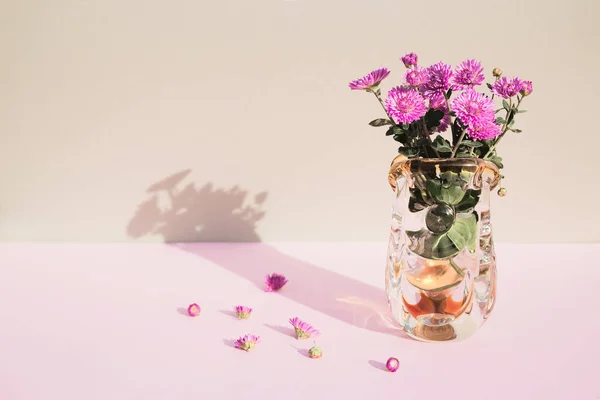 Pastel arka plandaki vazoda bulunan kasımpatı çiçeklerinden oluşan yaratıcı bir kompozisyon. Güzel çiçek arkaplanı. Doğa kutsaması. Mevsimlik kartlar ve web tasarımı için fikir. Seçici odak