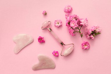 Ev spası için yüz masajı seti. Gül tomurcuklarıyla pembe pastel arka planda gül kuvarsından yapılmış yüz silindiri ve gua sha masaj aleti. Doğal tedavi kavramı.