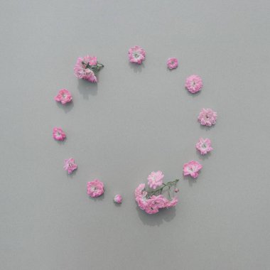 Pembe gül tomurcuklarından oluşan yaratıcı düzen pastel arka plan doğa kavramında yuvarlak bir çerçeve olarak yatıyor. Üst Manzara. Düz yatıyordu