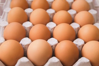 Karton kutuda tavuk yumurtası var. Seçici odak