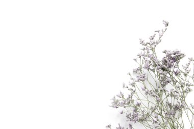 Beyaz arka planda güzel çayır çiçekleri. Doğa konsepti. Asgari düzeyde. Düz yatıyordu. Üst Manzara. Boşluğu kopyala.