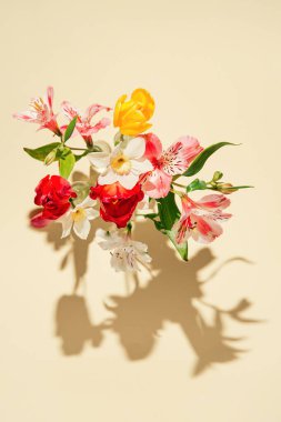 Pastel üzerinde cam vazolarda, gölgeli güneşli arka planda güzel çiçekler. Doğa konsepti. Asgari biçim.