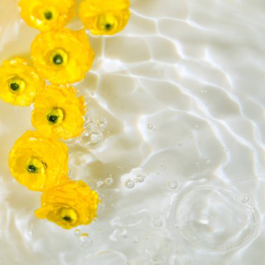 Suda sarı düğün çiçekleri. Güneş ve gölgeli yaz kompozisyonu. Doğa konsepti. Üst Manzara. Seçici odak