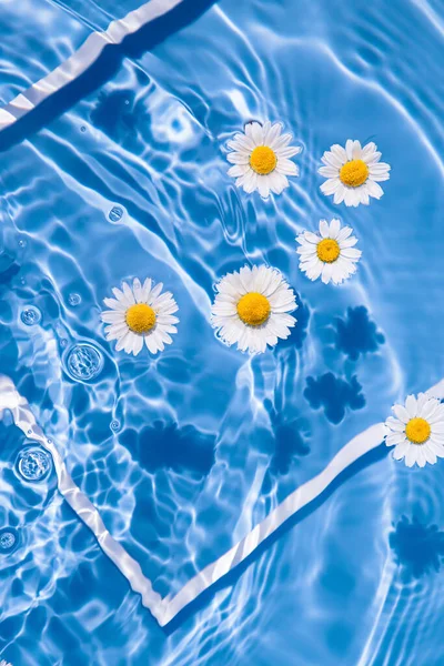 Flores Margarita Agua Azul Transparente Con Marco Blanco Composición Floral — Foto de Stock
